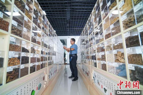 長治多舉措引智引技激活高質量發(fā)展 一池春水